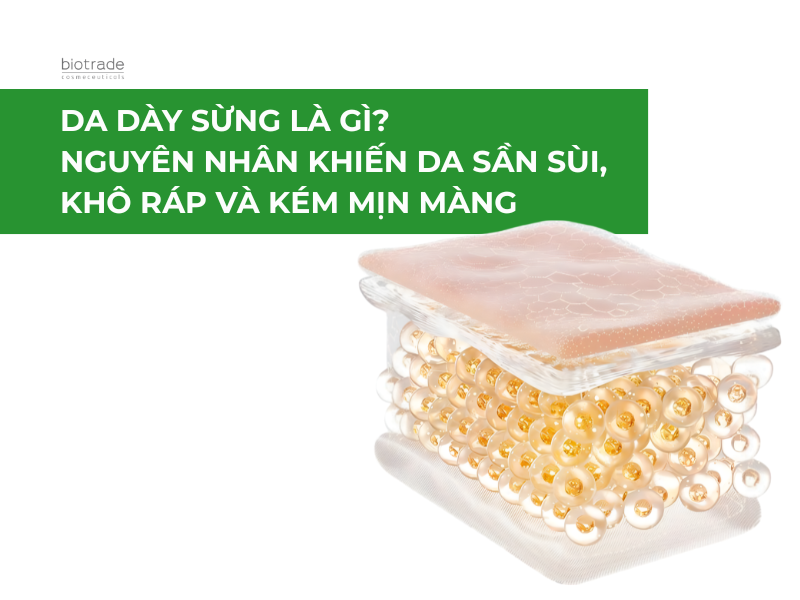 DA DÀY SỪNG LÀ GÌ? NGUYÊN NHÂN KHIẾN DA SẦN SÙI, KHÔ RÁP VÀ KÉM MỊN MÀNG