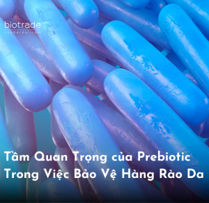 Tầm Quan Trọng của Prebiotic Trong Việc Bảo Vệ Hàng Rào Da