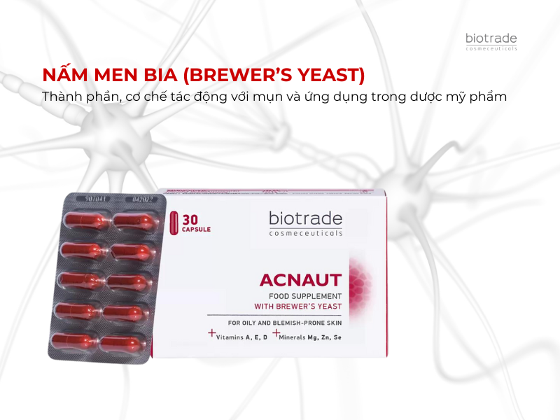 Nấm men bia (Brewer’s yeast) — Thành phần, cơ chế tác động với mụn và ứng dụng trong dược mỹ phẩm