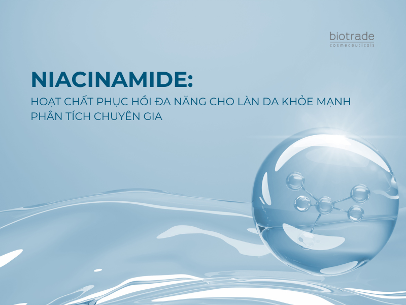 Niacinamide: Hoạt Chất Phục Hồi Đa Năng Cho Làn Da Khỏe Mạnh – Phân Tích Chuyên Gia