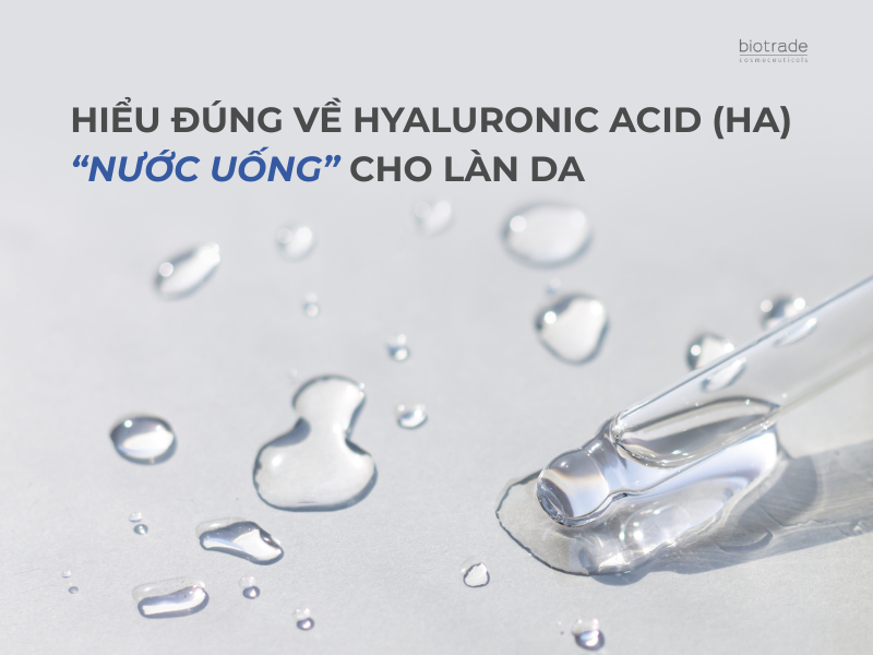 Hiểu đúng về Hyaluronic Acid (HA) — “Nước uống” cho làn da