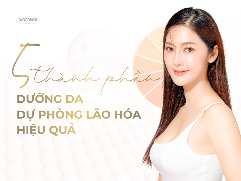 5 Thành Phần Dưỡng Da Chống Lão Hóa Hiệu Quả