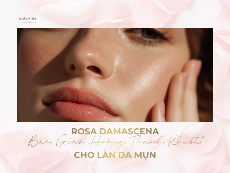 Hoa Hồng Rosa Damascena – Bản Giao Hưởng Thanh Khiết Cho Làn Da Mụn